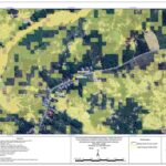 e5db1868 162d 4ef5 9ab4 c66e985d7c30