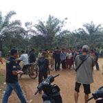 9fa1b38b e466 4695 834d 6e0a6c6240c7