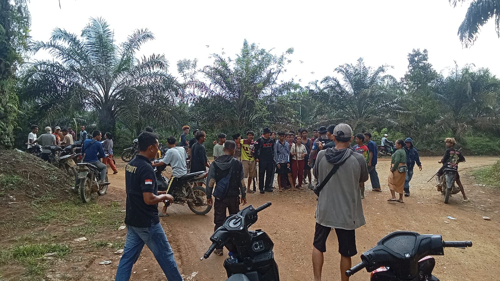 9fa1b38b e466 4695 834d 6e0a6c6240c7